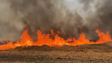 Kangal’da Buğday Tarlasında Yangın Çıktı