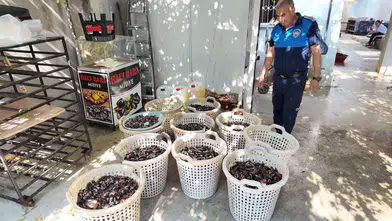 Mersin'de Skandal Baskın: Gazete Kağıdıyla Pişirilen Midyeler Yakalandı!