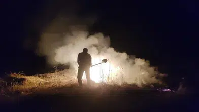 Şarkışla’da Buğday Tarlası Yangını: 20 Dönüm Alan Kül Oldu