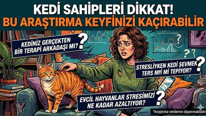 Kedi Sahipleri Dikkat! Bu Araştırma Keyfinizi Kaçırabilir