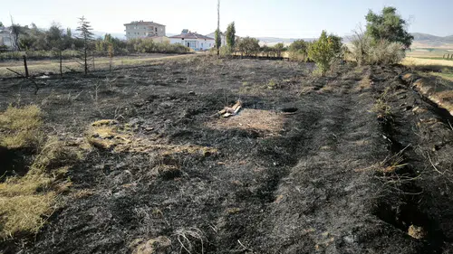 Sivas Altınyayla’da Yangın Paniği: Meyve Ağaçları Kül Oldu