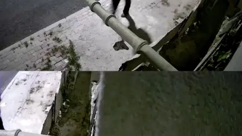Mithatpaşa Mahallesi'nde Kanlı Gece: Boğazından Bıçaklanan Çocuk Yoğun Bakımda