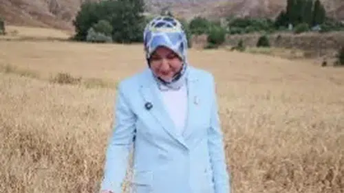 Rukiye Toy Sivas’ta Yılın İlk Hasadına Katıldı