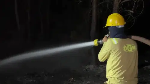 Seydikemer ve Kaş Sınırındaki Orman Yangını Büyük Ölçüde Kontrol Altında