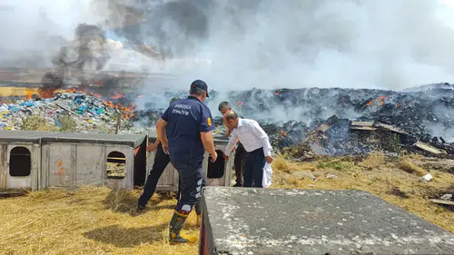 Şarkışla'da Eski Çöplük Alanında Çıkan Yangın Barınağa Sıçradı