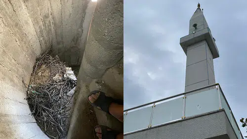 Merkezi Ezan Sistemi Sonrası Minarelerde Kuş İstilası