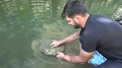 Askerliği Bıraktı, Hayatını Derelerde Altın Aramaya Adadı