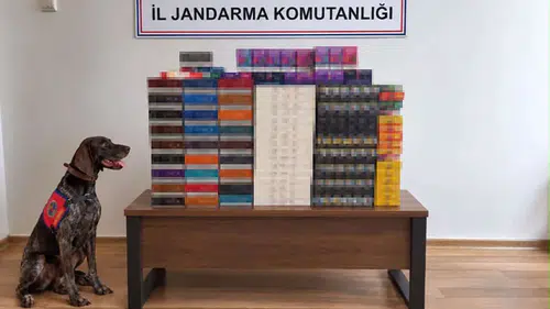 Yolcu Otobüslerine Jandarma Baskını: 2 Şüpheli Yakalandı!