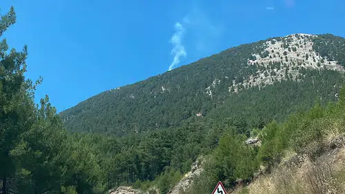 Fethiye Nif Mahallesi'nde Orman Yangını: Söndürme Ekipleri Seferber Oldu