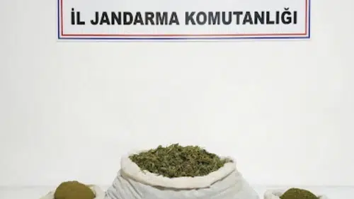 Diyarbakır’da Dev Uyuşturucu Operasyonu: 144 Bin Kök Ele Geçirildi