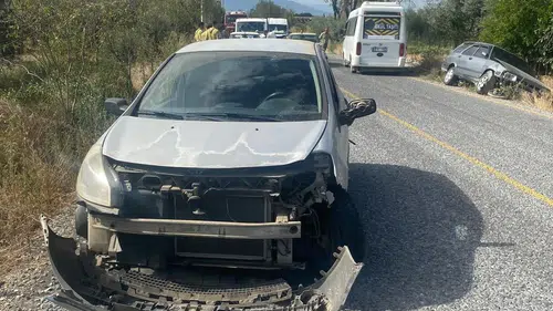 Aydın Bozdoğan’da Yola Çıkan Köpek Zincirleme Kazaya Yol Açtı: Biri Çocuk 2 Yaralı!