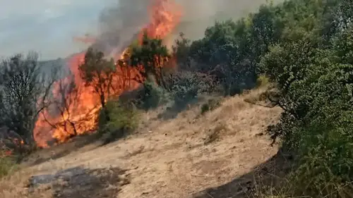 Dibekli Köyü Yakınlarında Yangın! Soğutma Çalışmaları Sürüyor