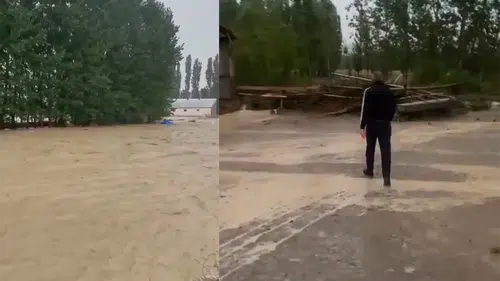 Sivas'ta Şiddetli Sağanak Sele Döndü: Tarım Arazileri Sular Altında