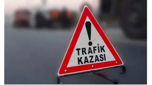 Tavza Köyü'nde Acı Kaza: Yaşlı Adam Olay Yerinde Yaşamını Yitirdi