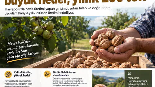 170 dönümlük ceviz bahçesinde hedef 200 ton! İşte üreticinin planı