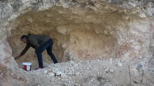 Pekmez için dağları deliyorlar