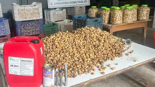 İncirleri Lavabo Açıcıyla Beyazlatmışlar: 3 Ton İncire El Konuldu
