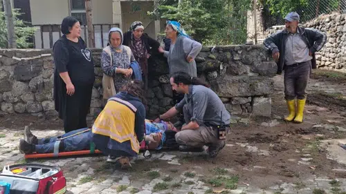 Sivas’ta Ceviz Toplamak İçin Çıktığı Ağaçtan Düştü