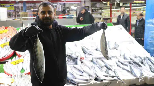 Sivas'ta Palamut Bolluğu: Akdeniz ve Ege'ye Sipariş Yağıyor