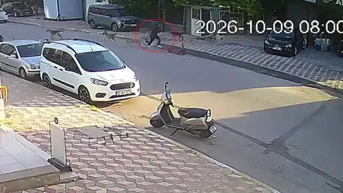 Hatay'da Okul Yolunda Köpek Saldırısı: 15 Yaşındaki Kız Yaralandı