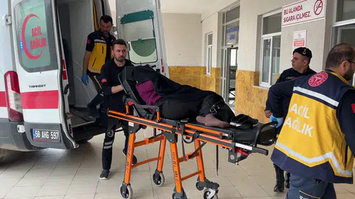 Sivas'ta Bostana Giren İnek Kavgası: 22 Yaşındaki Genç Öldü