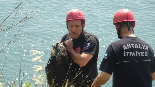Antalya’da Köpek İçin Film Gibi Kurtarma Operasyonu