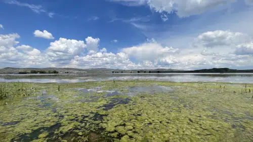 Sivas’ta Yağışlar Tarım Arazilerini Göl Haline Getirdi