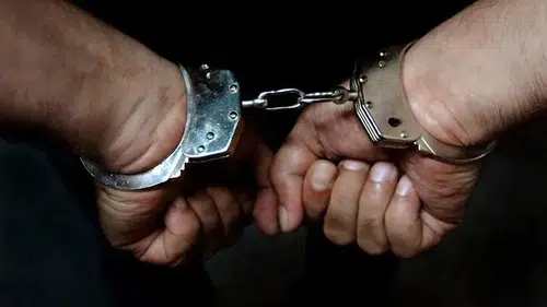 Sivas Bağlantılı "Çapkanlar" Operasyonu: 24 Şüpheli Gözaltında