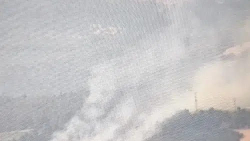 Çanakkale'de Kabus Anları! Yangının Çıkış Nedeni Herkesi Şoke Etti: Kimse Buna İnanamaz!