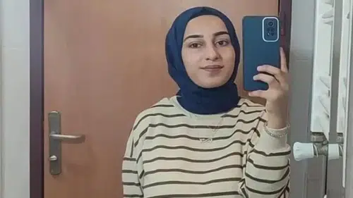 Van Barosu, Rojin Kabaiş dosyasından çekildi