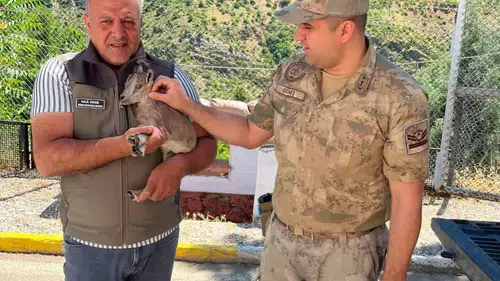 Yol Kenarında Hareketsiz Bulundu! Karakola Götürülen Şey Herkesi Ağlattı