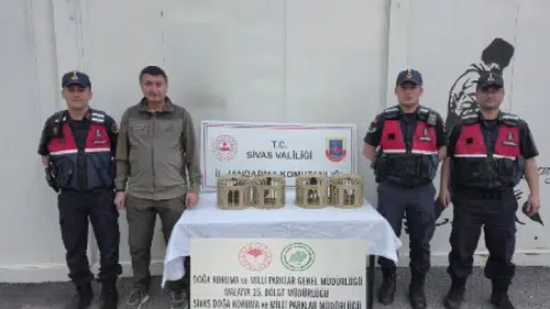 Sivas’ta Usulsüz Alıkonulan 4 Kınalı Keklik Doğaya Bırakıldı