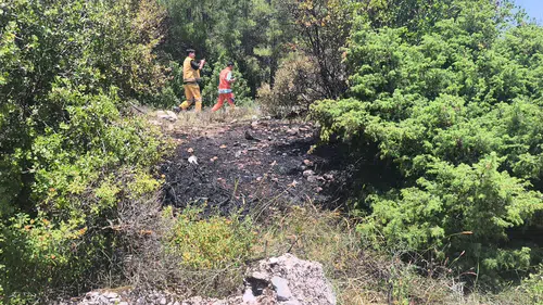 Alevler Bir Anda Her Yeri Sardı! Düzeyn Mevkiindeki Korkutan Yangında Son Dakika!