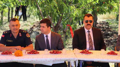 Suşehri’nde Kiraz Hasadı Etkinliği Gerçekleştirildi