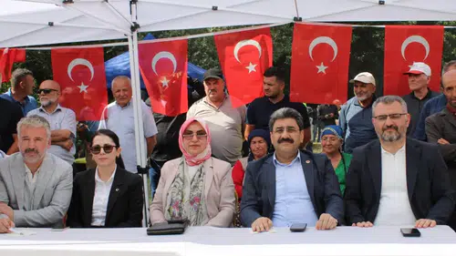 Hafik'te Tozanlı Festivali Coşkusu
