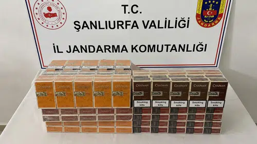 Şanlıurfa'da Şok Baskınlar! İki İlçede Birden Düğmeye Basıldı: 8 Gözaltı