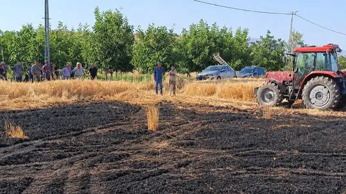 Sivas'ta Ekili Tarla Alevlere Teslim Oldu!