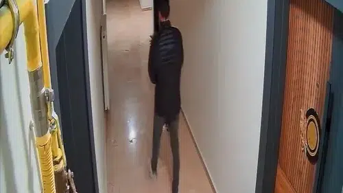 Apartmana Girdi, Gözüne Onu Kestirdi! Görenler Gözlerine İnanamadı
