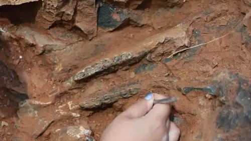 Türkiye'de İlk Kez Denizli'de, İkinci Kez Sivas'ta Bulundu