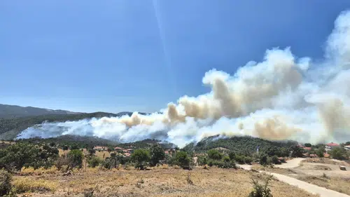 Balıkesir'de Alevlerle Dev Mücadele! Rüzgar Şiddetlendi