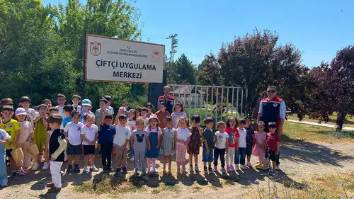 Sivas'ta Minikler Seralara Akın Etti! Kendi Elleriyle Hasat Etti