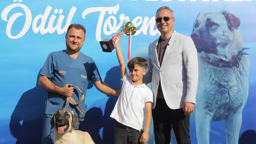 Sivas'ta Görkemli Yarışma: 253 Kangal Köpeği Podyuma Çıktı!