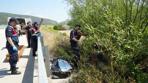 Kastamonu'da Vur-Kaç Dehşeti: Ağaç Altında Cansız Bedeni Bulundu!