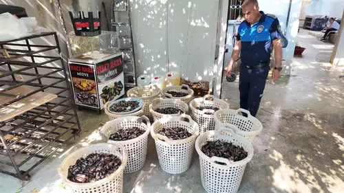 Mersin'de Skandal Baskın: Gazete Kağıdıyla Pişirilen Midyeler Yakalandı!
