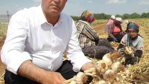 Çiftçiden Sert Çıkış! "Artık Bir Tercih Değil Zorunluluktur!