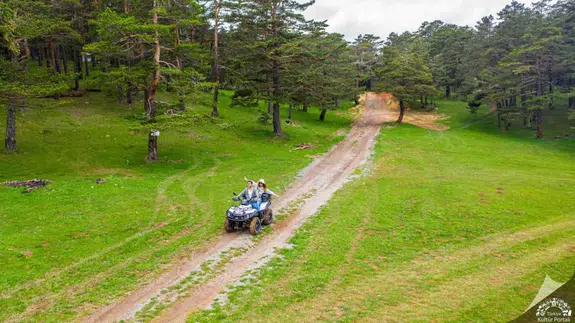 Bu Manzara Sivas'ta: Ayder'e Benzeyen Yayla Sosyal Medyada Gündem Oldu