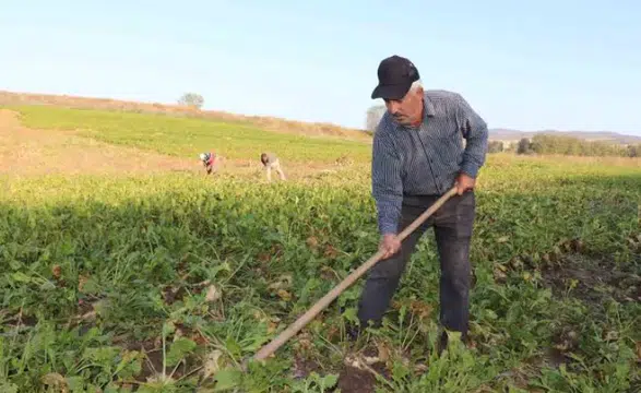 Çiftçilere 67,8 Milyon Liralık Tarımsal Destek Ödemesi