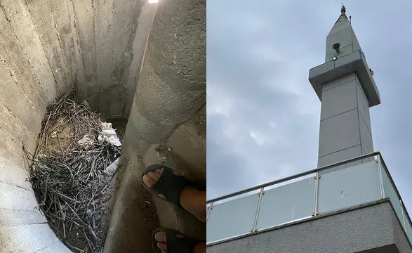 Merkezi Ezan Sistemi Sonrası Minarelerde Kuş İstilası