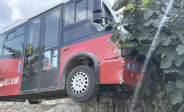 Düzce'de Köpekleri Ezmemek İçin Direksiyon Kıran Şoför Bahçeye Daldı