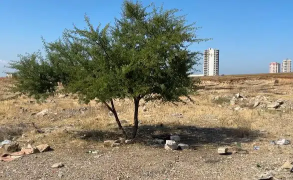 35 Yaşındaki Şahıs Boş Arazide Ölü Bulundu
